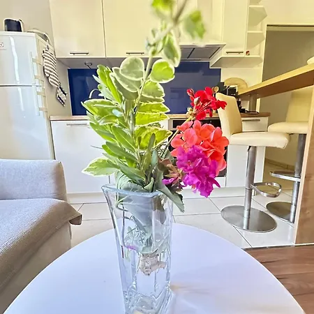 Skok Apartamento Slano